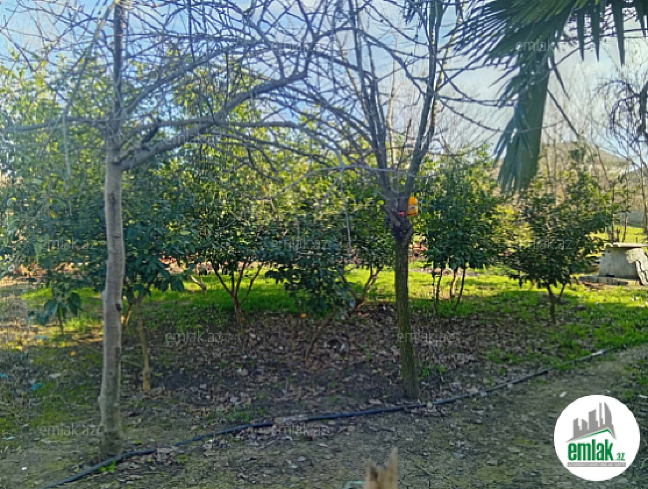 Satılır 3 otaqlı həyət evi 140 m²