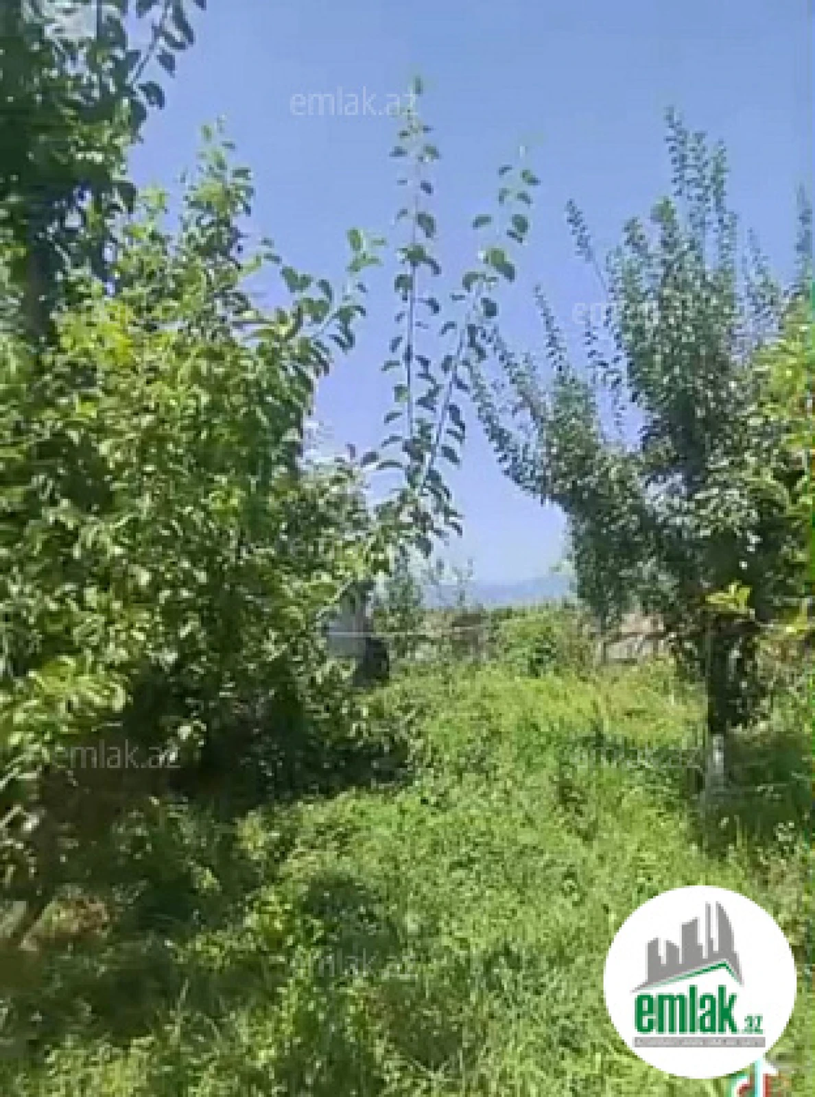 Satılır həyət evi 6 m²