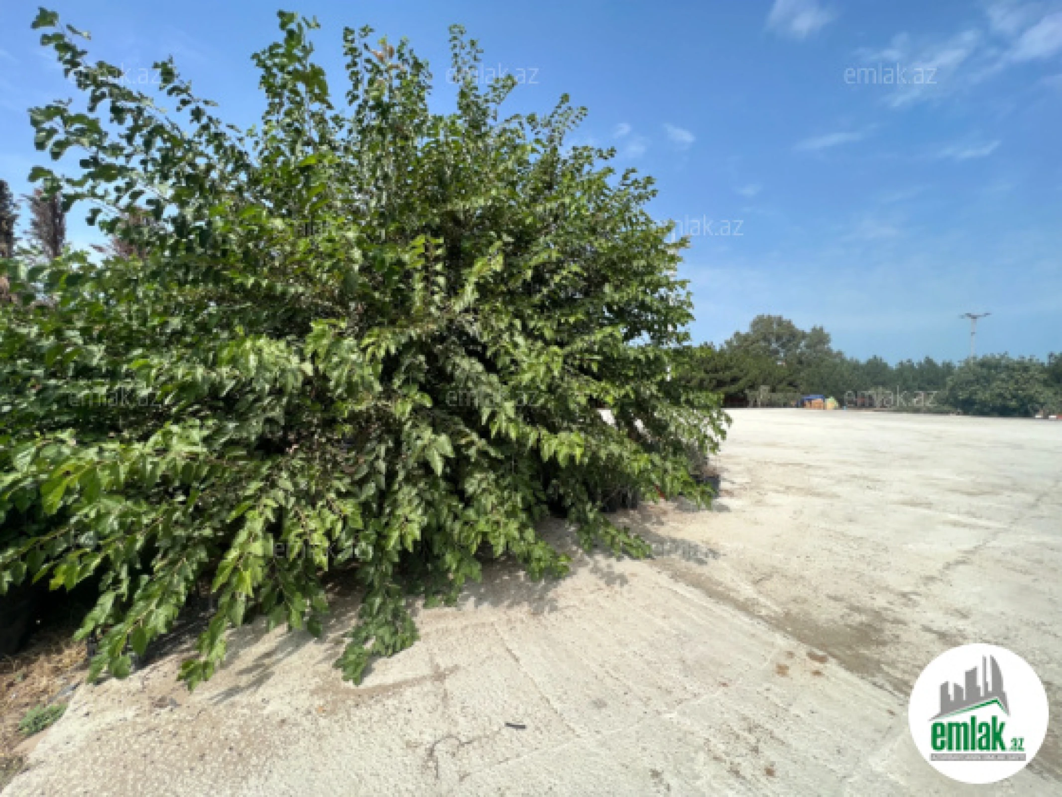 Satılır torpaq sahəsi 75 m²