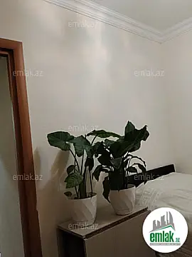 Satılır 3 otaqlı köhnə tikili 55 m²