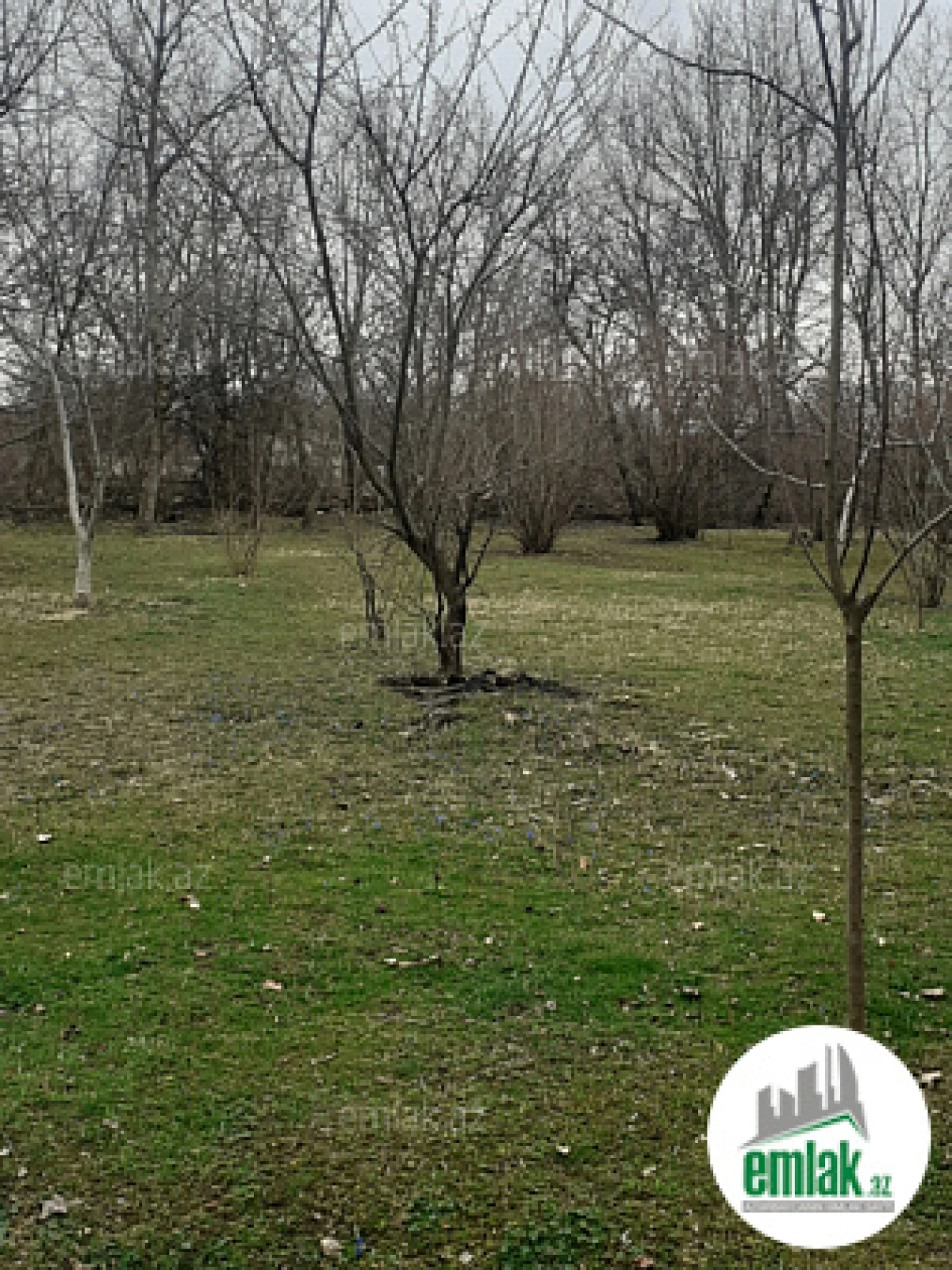 Satılır torpaq sahəsi 40 m²