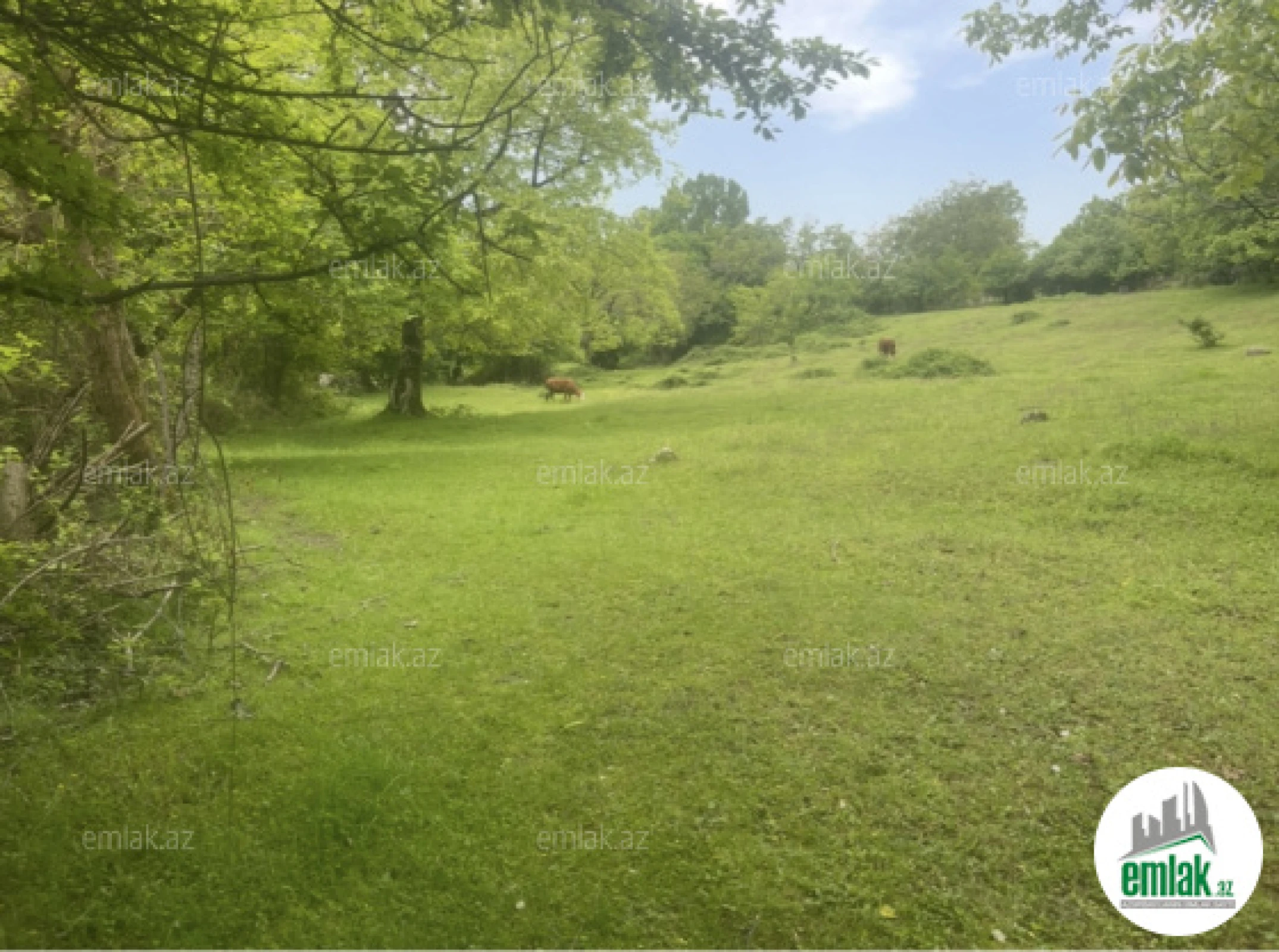 Satılır torpaq sahəsi 63 m²