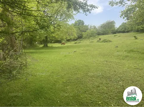 Satılır torpaq sahəsi 63 m²