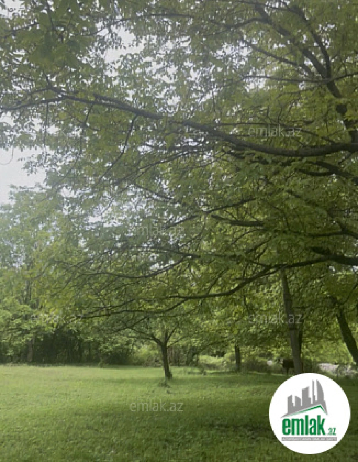 Satılır torpaq sahəsi 63 m²