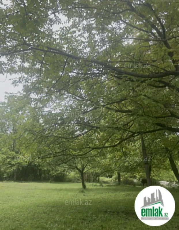 Satılır torpaq sahəsi 63 m²