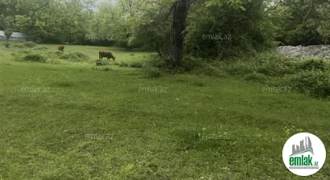 Satılır torpaq sahəsi 63 m²