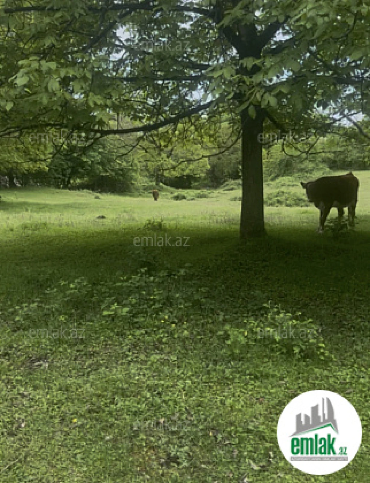 Satılır torpaq sahəsi 63 m²