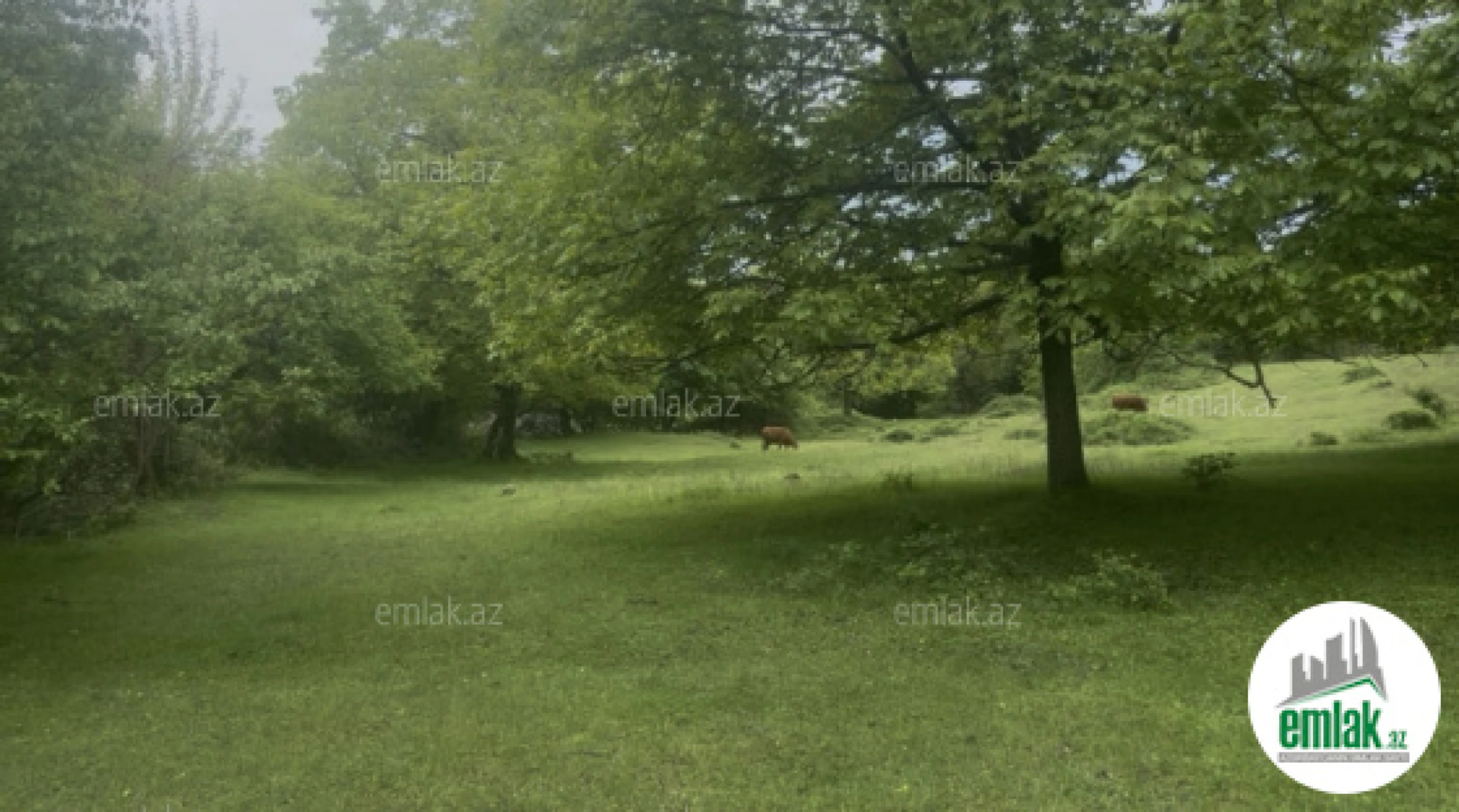 Satılır torpaq sahəsi 63 m²