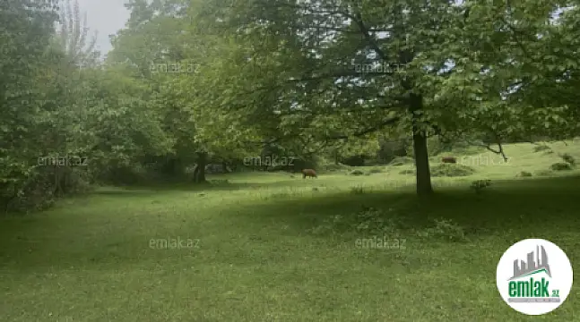 Satılır torpaq sahəsi 63 m²