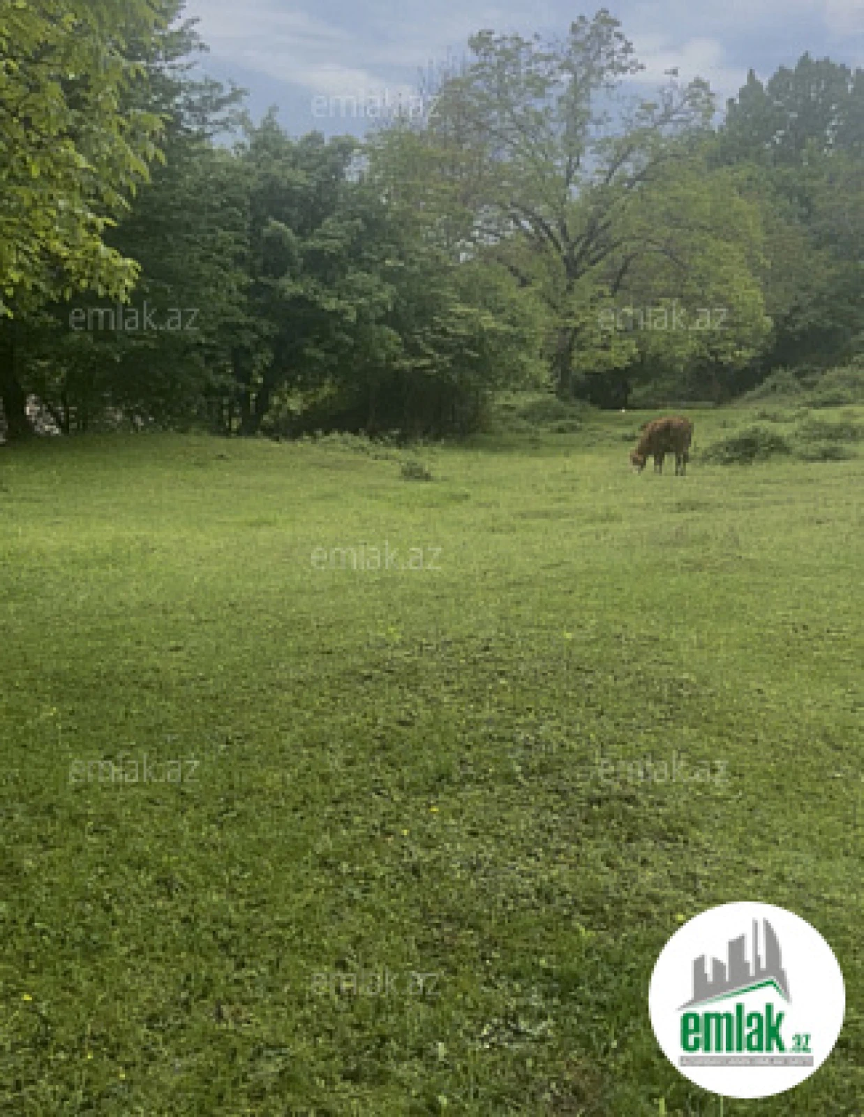 Satılır torpaq sahəsi 63 m²