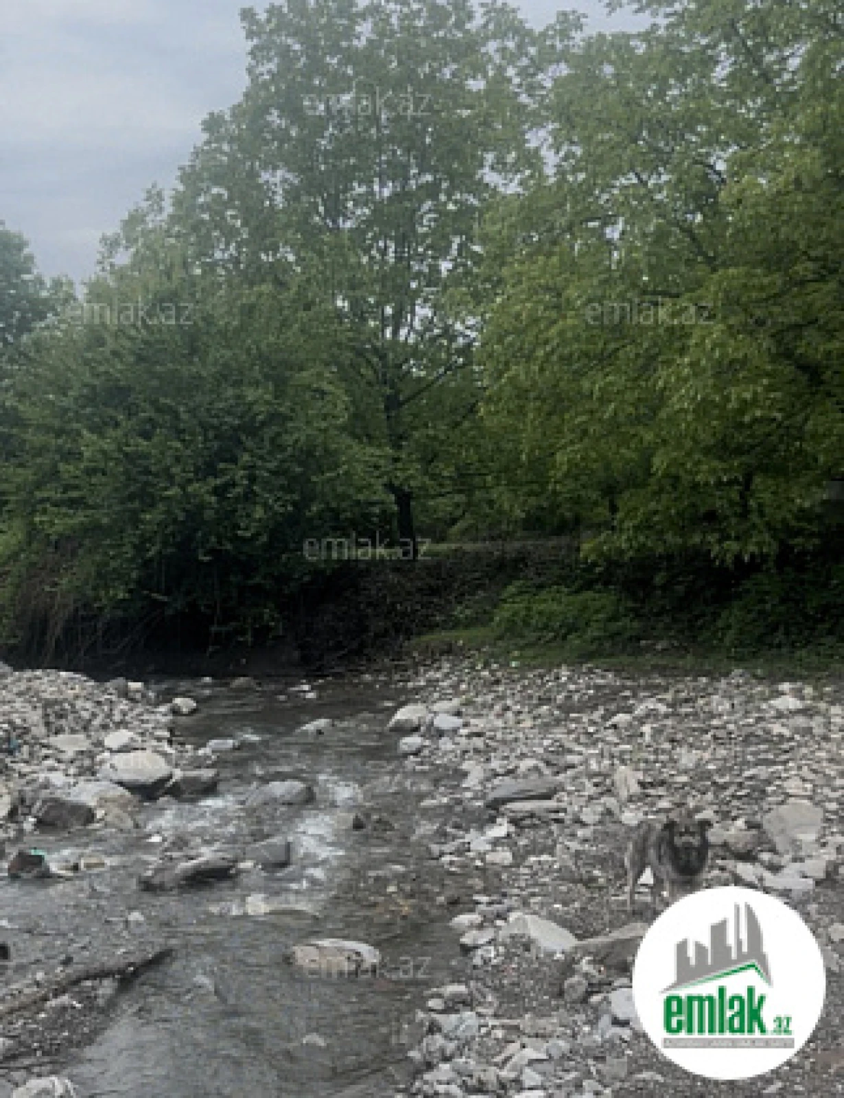 Satılır torpaq sahəsi 63 m²