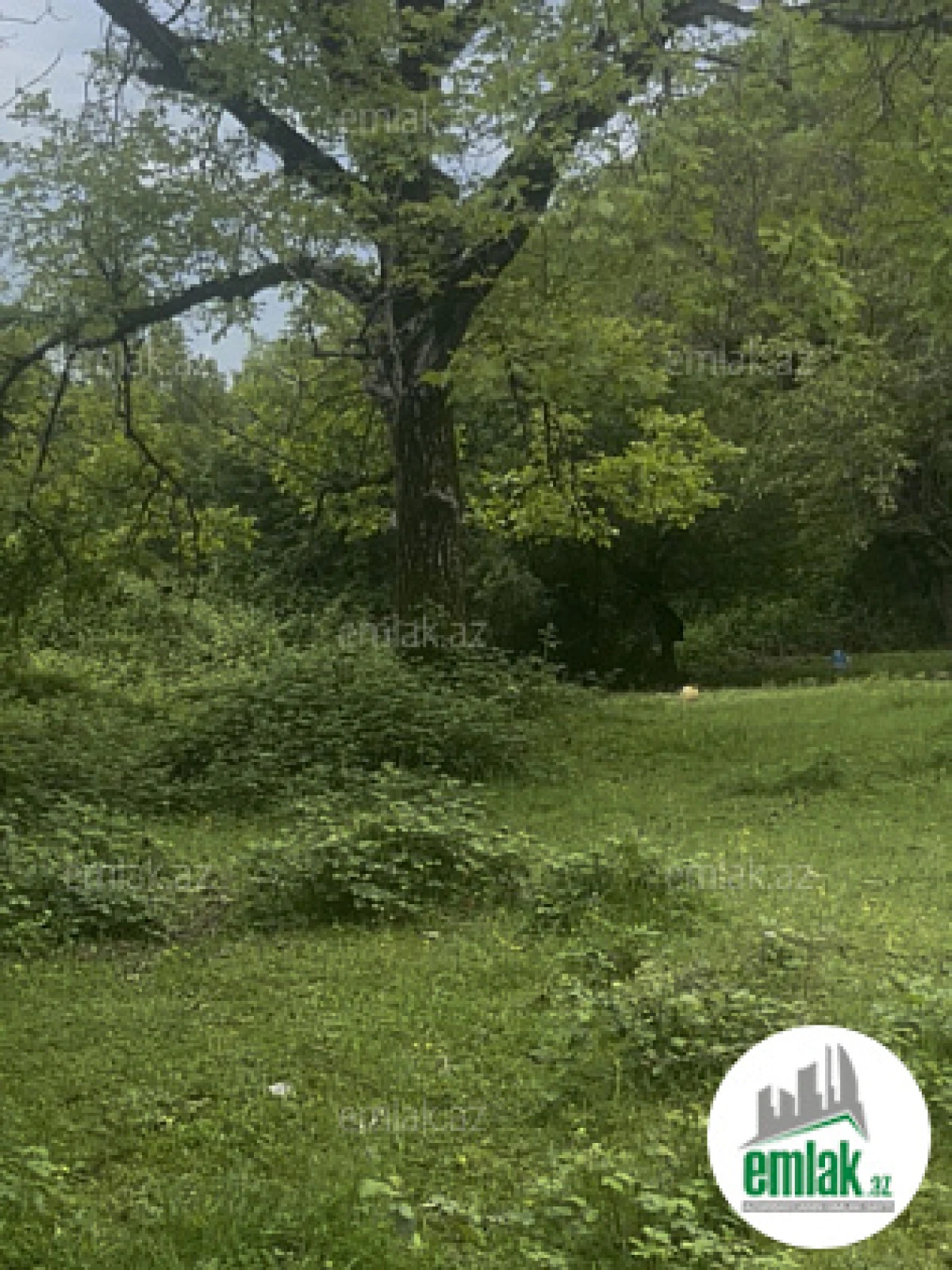 Satılır torpaq sahəsi 63 m²