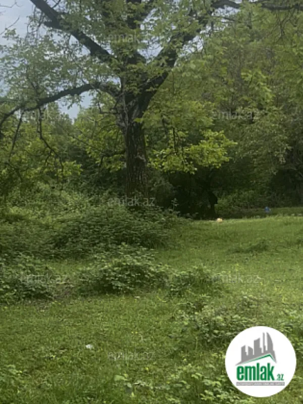 Satılır torpaq sahəsi 63 m²