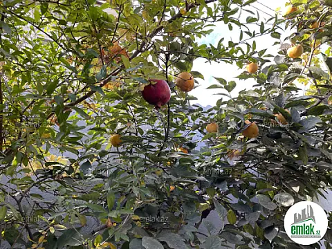 Satılır 6 otaqlı həyət evi 150 m²