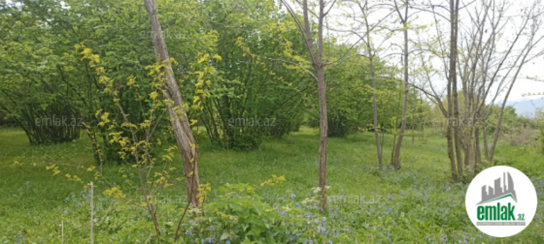 Satılır torpaq sahəsi 6 m²