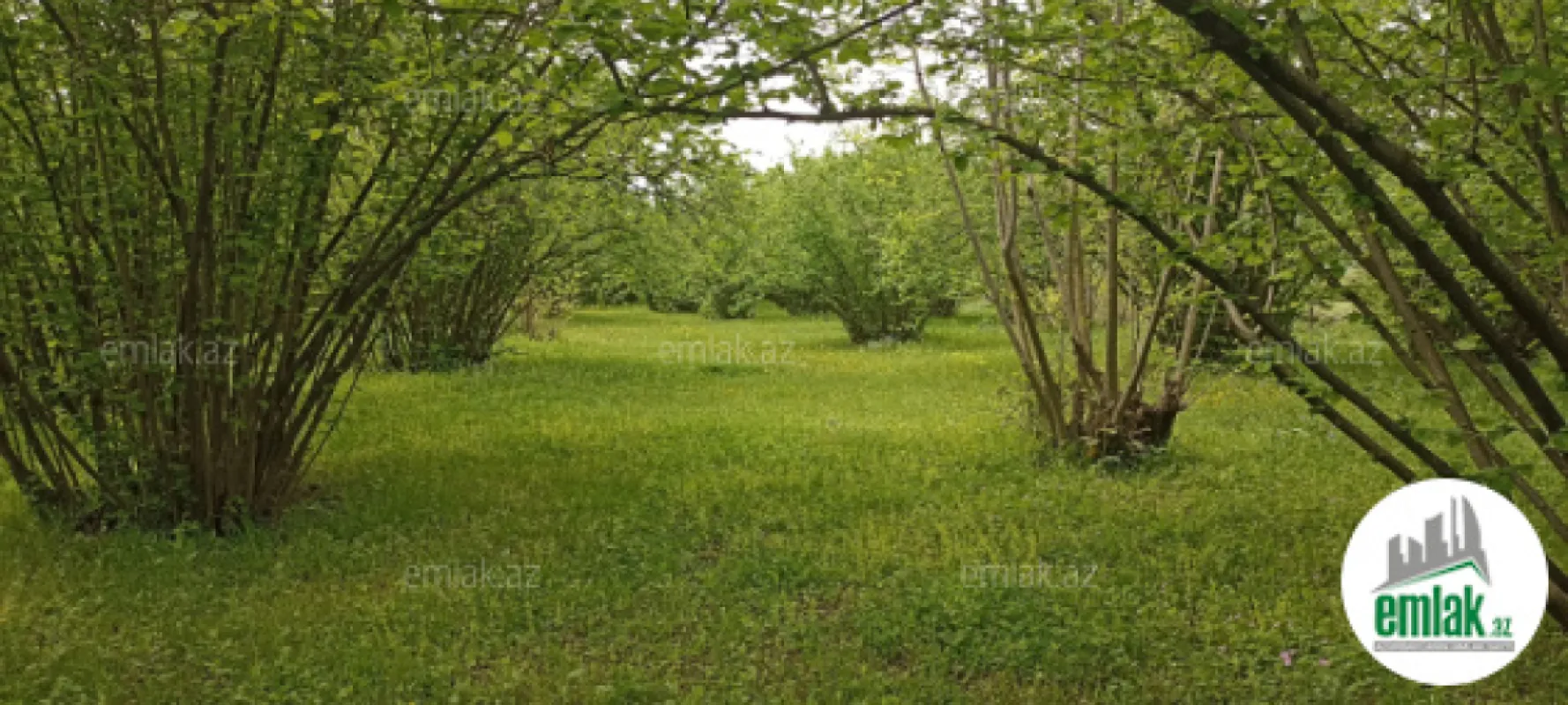 Satılır torpaq sahəsi 6 m²