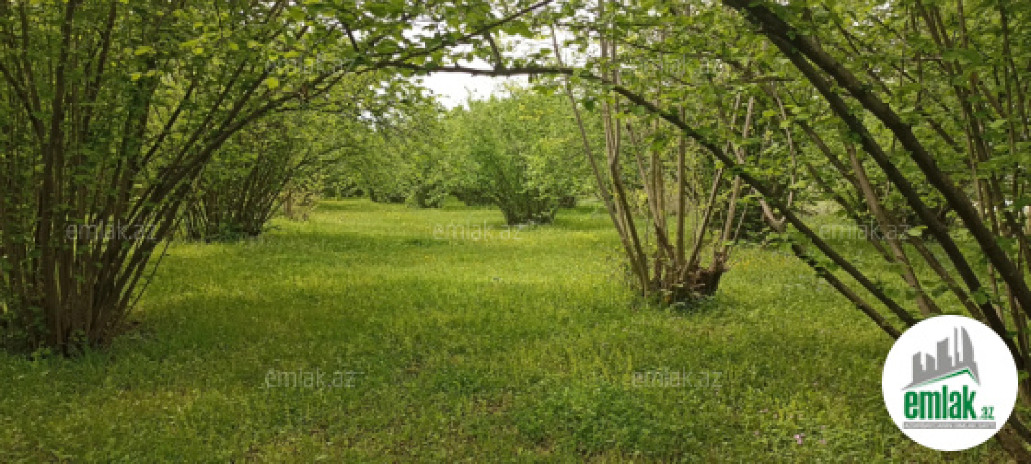 Satılır torpaq sahəsi 6 m²