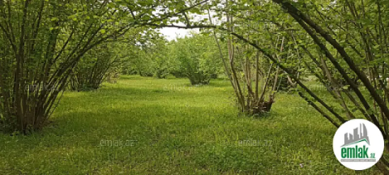 Satılır torpaq sahəsi 6 m²