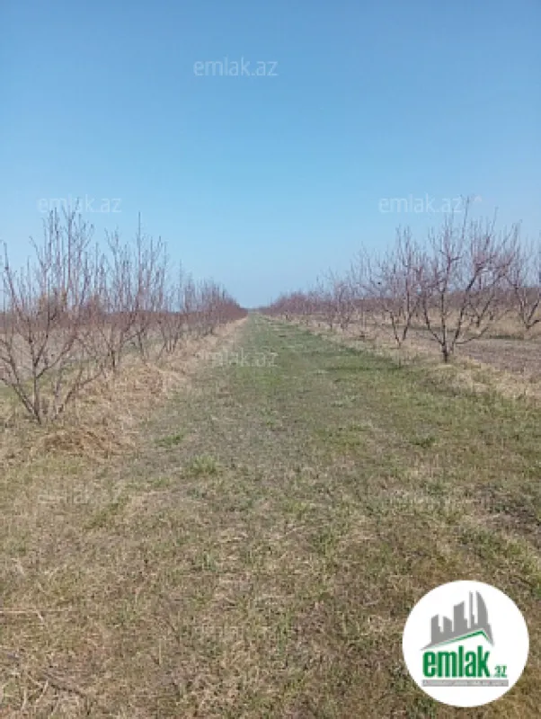 Satılır torpaq sahəsi 150 m²