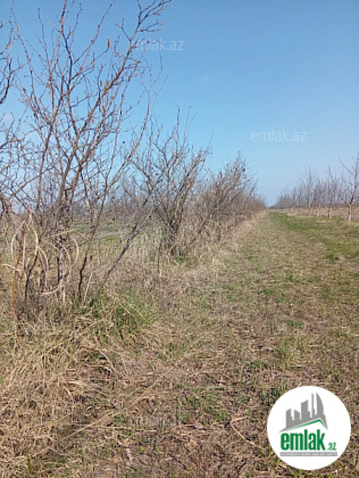 Satılır torpaq sahəsi 150 m²