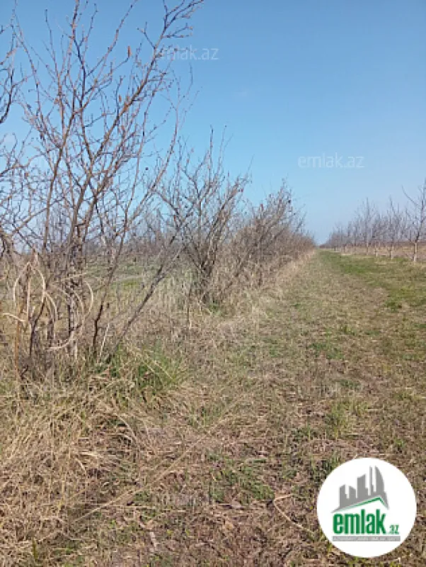Satılır torpaq sahəsi 150 m²