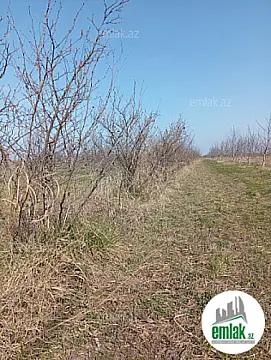 Satılır torpaq sahəsi 150 m²