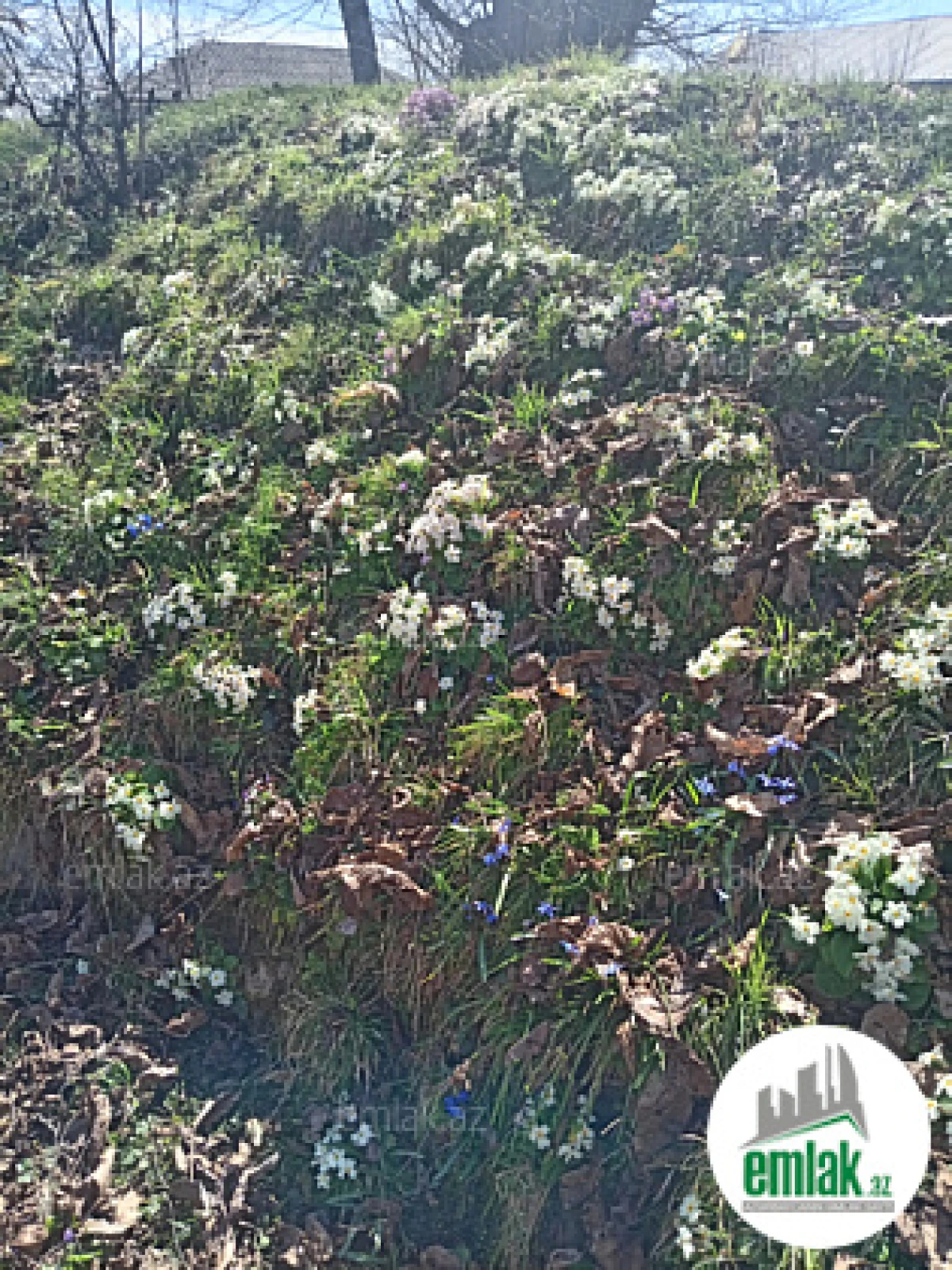 Satılır torpaq sahəsi 16 m²