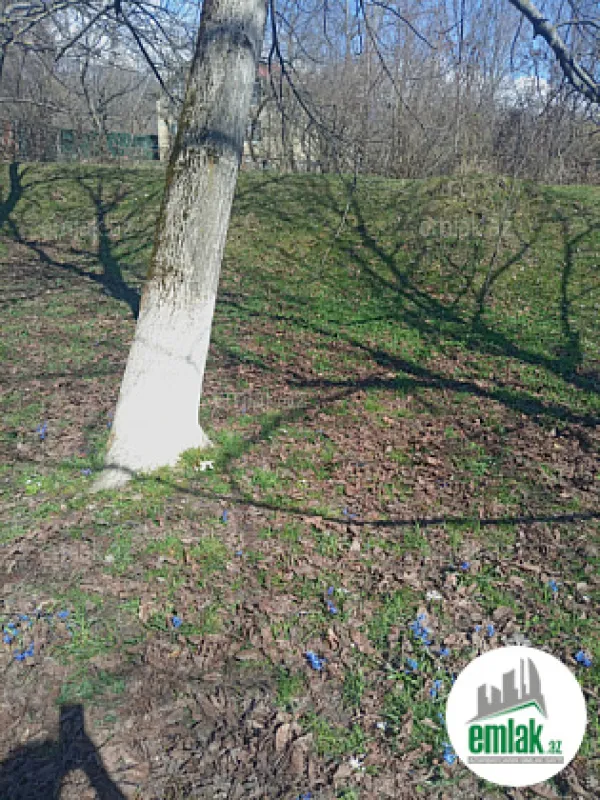 Satılır torpaq sahəsi 16 m²