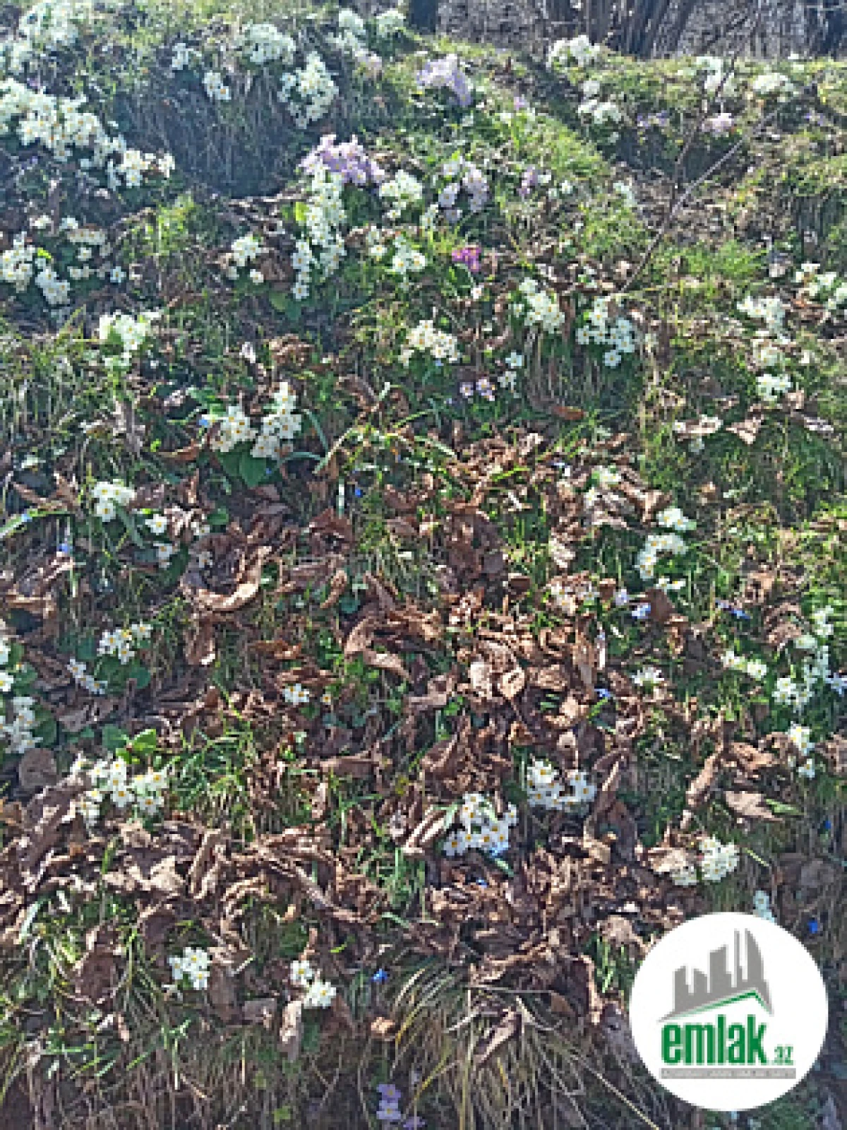 Satılır torpaq sahəsi 16 m²