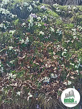 Satılır torpaq sahəsi 16 m² — Bakı 16.00 m²