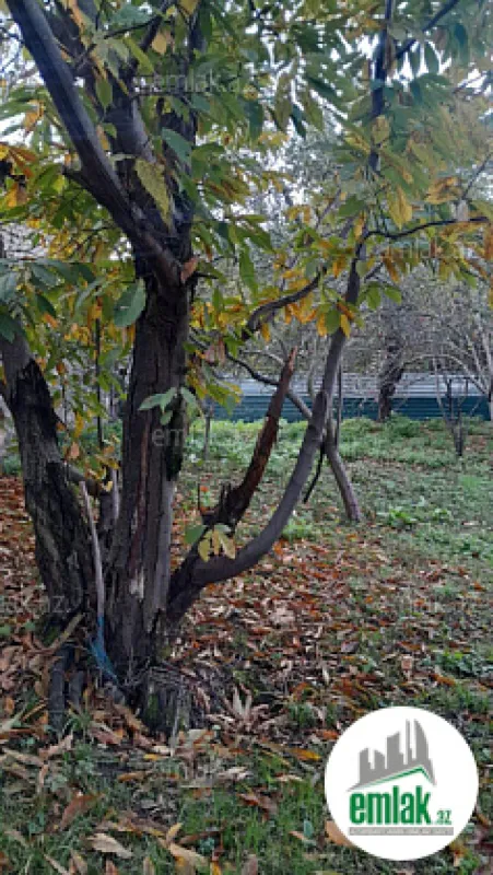 Satılır 4 otaqlı həyət evi 100 m²