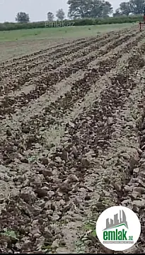 Satılır torpaq sahəsi 2000 m²