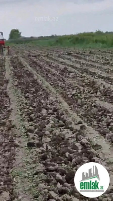 Satılır torpaq sahəsi 2000 m²