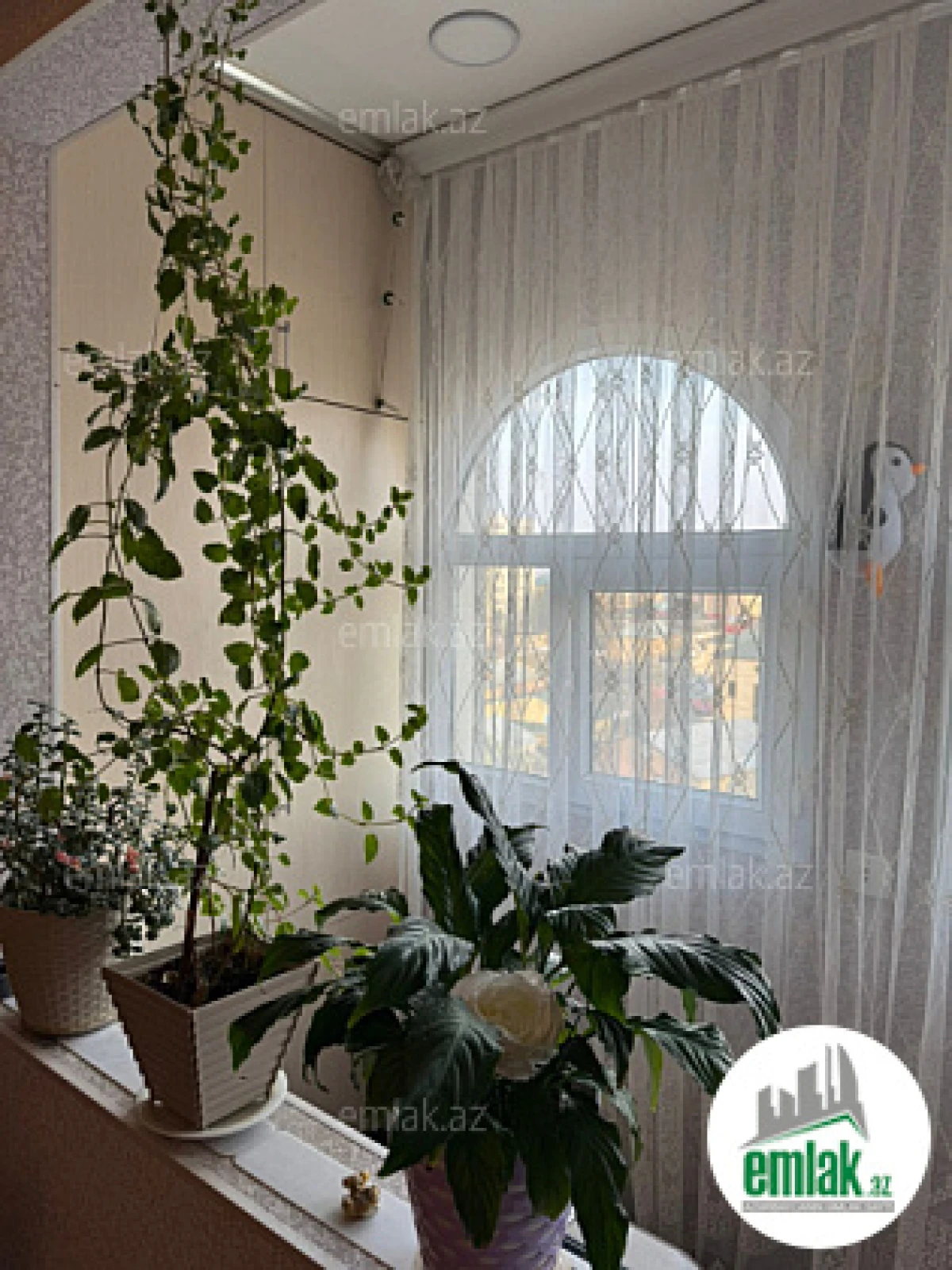Satılır 3 otaqlı köhnə tikili 85 m²