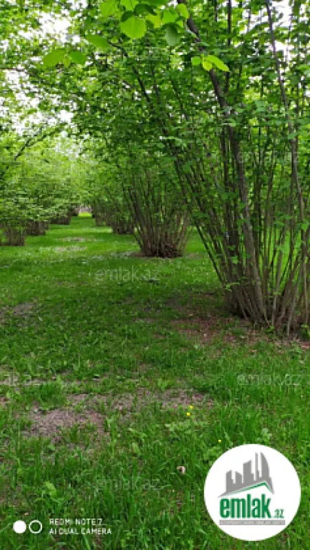 Satılır torpaq sahəsi 450 m²