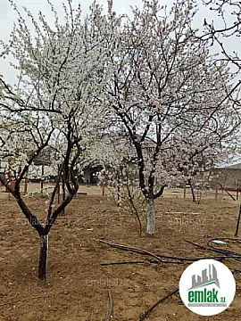 Satılır torpaq sahəsi 4 m²