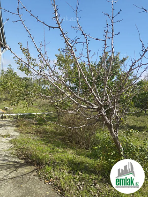 Satılır 4 otaqlı həyət evi 90 m²