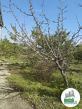 Satılır 4 otaqlı həyət evi 90 m² — Bakı 4 otaq 90.00 m²