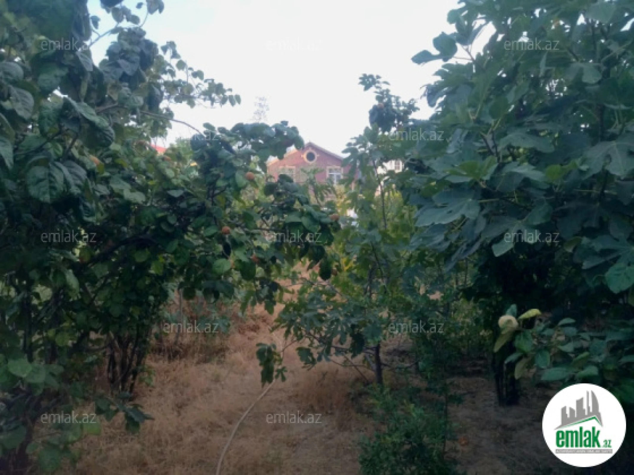 Satılır 3 otaqlı həyət evi 80 m²