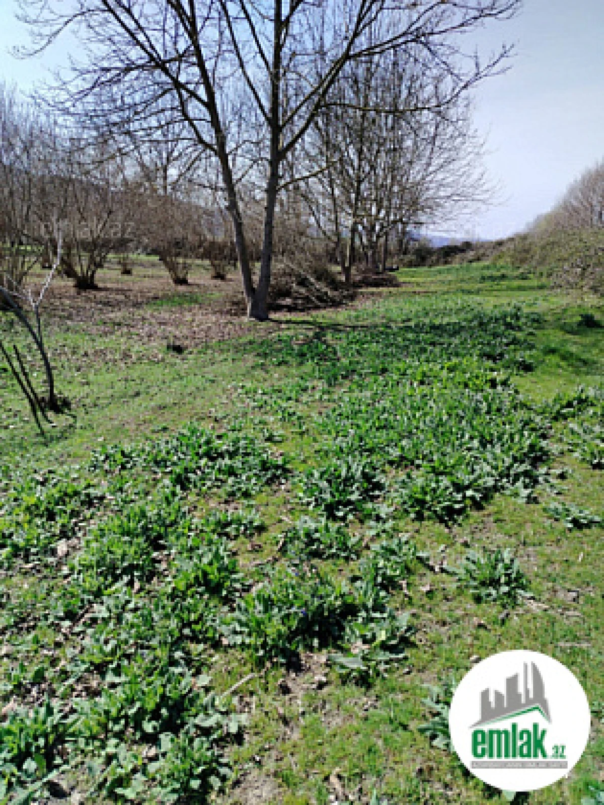 Satılır torpaq sahəsi 50 m²