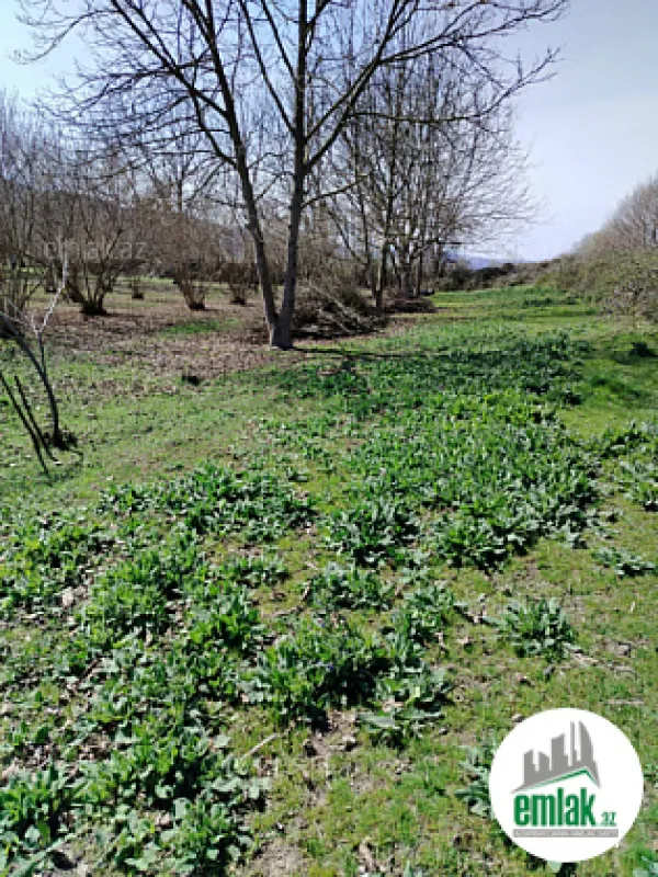 Satılır torpaq sahəsi 50 m²