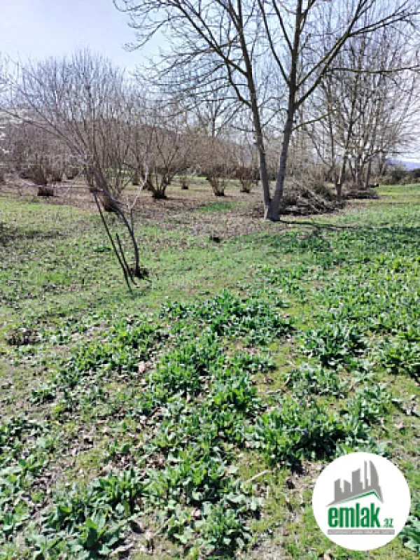 Satılır torpaq sahəsi 50 m²