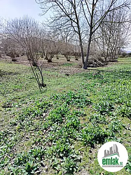 Satılır torpaq sahəsi 50 m²