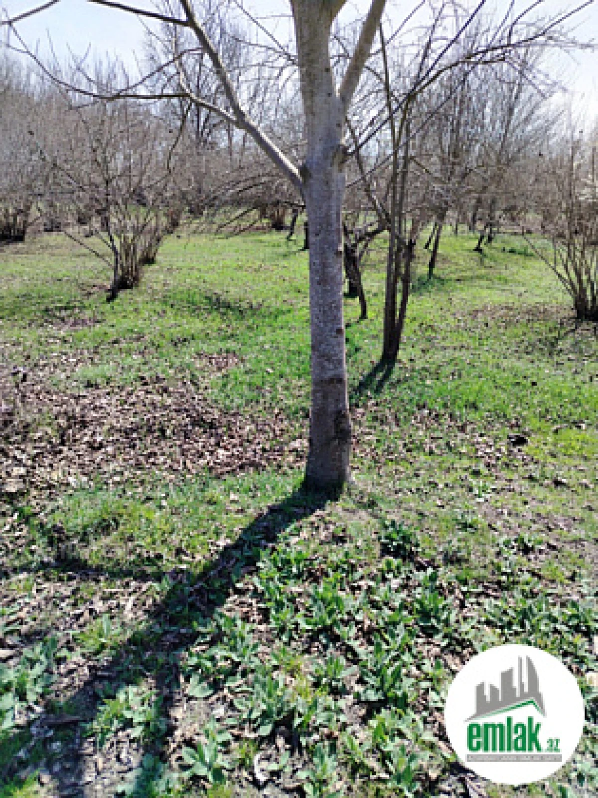 Satılır torpaq sahəsi 50 m²