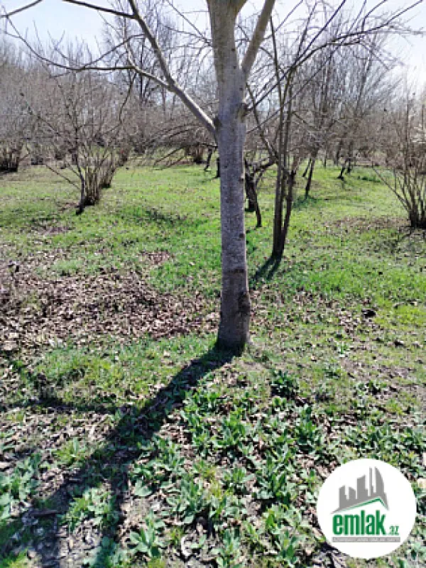Satılır torpaq sahəsi 50 m²