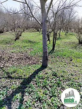 Satılır torpaq sahəsi 50 m² — Bakı 50.00 m²