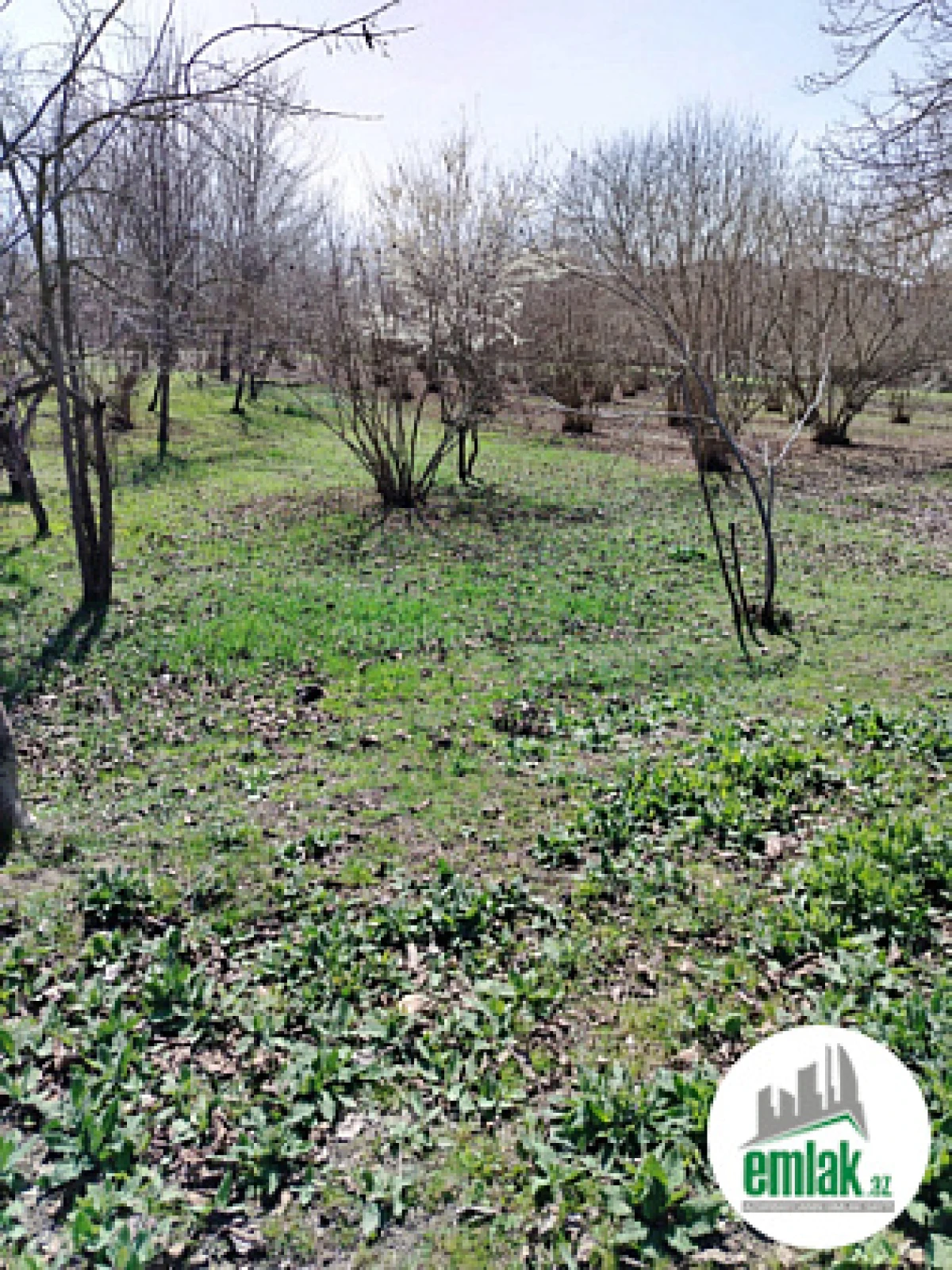 Satılır torpaq sahəsi 50 m²