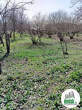 Satılır torpaq sahəsi 50 m²