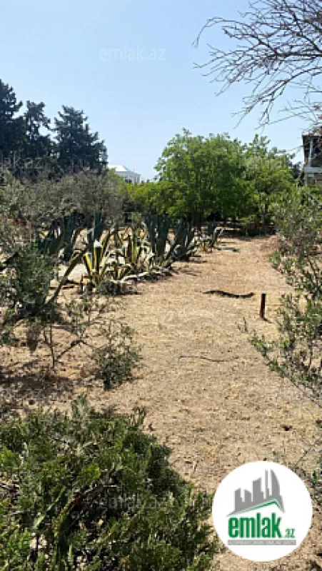 Satılır torpaq sahəsi 2400 m²