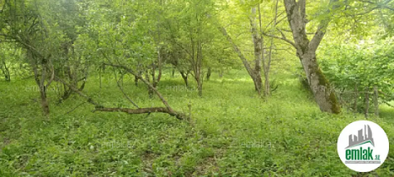 Satılır torpaq sahəsi 30 m² — Bakı 30.00 m²